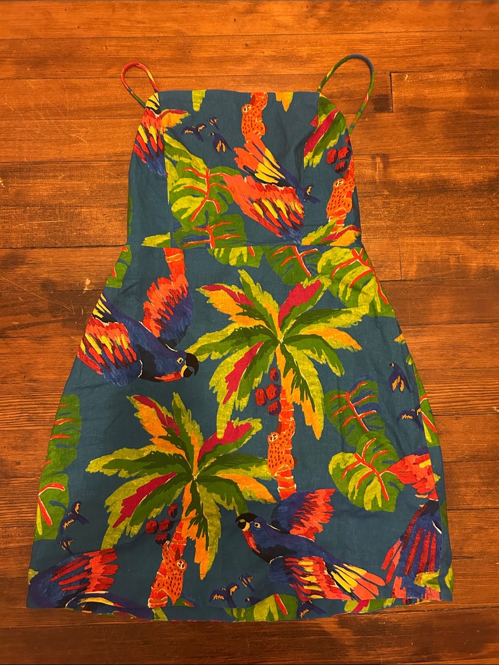 Farm Rio Blue Sunny Day Women’s Mini Dress - NWOT, Size Medium